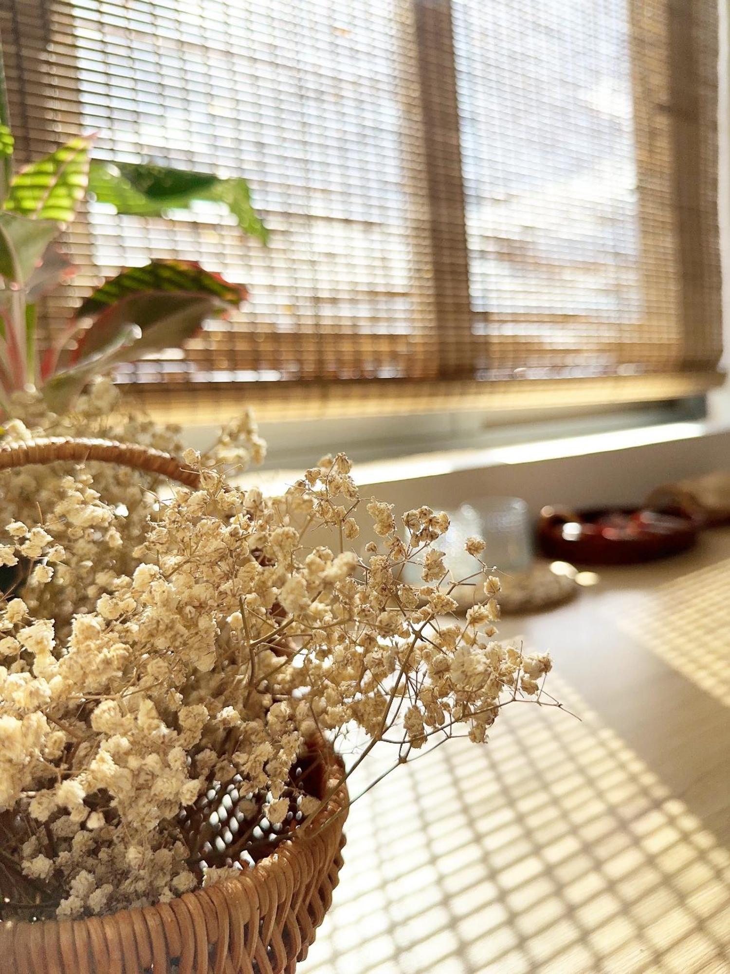 Mira De Sol Homestay 다낭 외부 사진